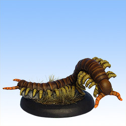 Giant Centipede #1