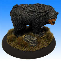 Black Bear