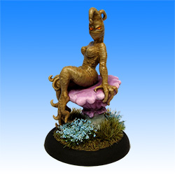 Mandragora